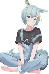 Rule 34 | 1girl, animal ears, aqua hair, bad id, bad pixiv id, barefoot, black shirt, blue eyes, blush, cathy idx, closed mouth, ear covers, full body, highres, horse ears, horse girl, horse tail, indian style, looking at viewer, overalls, seiun sky (umamusume), shirt, short hair, short sleeves, simple background, single ear cover, sitting, smile, solo, tail, umamusume, white background