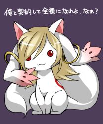 Rule 34 | :3, blonde hair, cosplay, kyubey, long hair, mahou shoujo madoka magica, mahou shoujo madoka magica (anime), make a contract, no humans, puchi-pochi, purple background, red eyes, saiki (kof), saiki (kof) (cosplay), simple background, solo, the king of fighters, translated