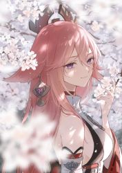 Rule 34 | 1girl, animal ears, bare shoulders, blurry, blurry foreground, breasts, cherry blossoms, closed mouth, detached sleeves, fox ears, genshin impact, hair between eyes, hair ornament, headpiece, high collar, highres, japanese clothes, long hair, looking at viewer, looking back, medium breasts, misaki (mskmmti), nontraditional miko, outdoors, pink hair, purple eyes, shirt, sideboob, sleeveless, sleeveless shirt, smile, solo, upper body, white shirt, wide sleeves, yae miko
