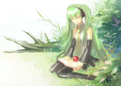 Rule 34 | 1girl, apple, bad id, bad pixiv id, book, detached sleeves, closed eyes, female focus, food, fruit, full body, grass, green hair, hatsune miku, headphones, long hair, masako, nature, necktie, outdoors, sasaki ryou, sitting, skirt, solo, thighhighs, twintails, very long hair, vocaloid, wariza