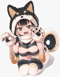 Rule 34 | 1girl, :3, :d, animal hands, animal hood, black hair, breasts, brown eyes, claws, cleavage cutout, clothing cutout, dog girl, dog hood, dog tail, fang, fangs, fur-trimmed gloves, fur-trimmed hood, fur-trimmed legwear, fur trim, gloves, hood, hooves, large breasts, looking at viewer, multicolored hair, nyifu, open mouth, original, panties, paw gloves, seiza, short eyebrows, side-tie panties, simple background, sitting, smile, solo, string panties, tail, teeth, thick eyebrows, thighhighs, twitter username, underwear, white background, white hair