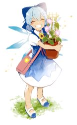 Rule 34 | 1girl, ^ ^, azuma aya, bandaid, bandaid on face, blue bow, blue dress, blue footwear, blue hair, blush, bow, carrying, cirno, closed eyes, dress, facing viewer, flower, flower pot, full body, grass, grin, hair between eyes, hair bow, hidden star in four seasons, holding, holding flower pot, hugging object, ice, ice wings, morning glory, pink flower, puffy short sleeves, puffy sleeves, shoes, short sleeves, signature, smile, solo, standing, sunflower, tan, tanned cirno, touhou, white background, wings, yellow flower