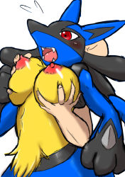 Rule 34 | 1boy, 1girl, animal ears, animal hands, artist request, bald, blush, breasts, creatures (company), faceless, faceless male, fangs, flying sweatdrops, furry, game freak, gen 4 pokemon, grabbing, grabbing another&#039;s breast, hand up, hetero, highres, large breasts, lucario, nintendo, nipples, open mouth, pokemon, pokemon (creature), pokemon dppt, red eyes, simple background, standing, surprised, teeth, white background, wolf ears