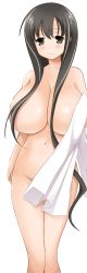 Rule 34 | 1girl, blush, breasts, brown hair, convenient censoring, female focus, green eyes, hip focus, huge breasts, iwato kasumi, large breasts, long hair, looking at viewer, navel, nude, official art, open mouth, saki (manga), smile, solo, towel