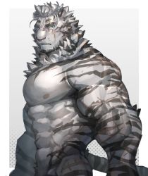 Rule 34 | 1boy, abs, absurdres, animal ears, arknights, bara, completely nude, furry, furry male, highres, large pectorals, looking at viewer, male focus, mountain (arknights), muscular, muscular male, neumo, nipples, nude, pectorals, scar, scar across eye, scar on arm, scar on face, short hair, solo, stomach, tiger boy, tiger ears, white fur, white hair