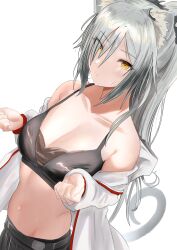 Rule 34 | 1girl, absurdres, animal ears, arknights, bare shoulders, breasts, camisole, cat ears, cleavage, commentary, crop top, grey hair, hair over one eye, highres, jacket, long hair, long sleeves, looking at viewer, medium breasts, midriff, navel, off shoulder, open clothes, open jacket, schwarz (arknights), solo, sora mame (princess 0sora), stomach, upper body, very long hair, white jacket, yellow eyes