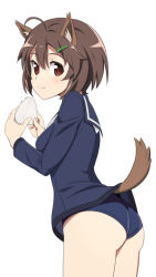 Rule 34 | 10s, 1girl, ahoge, animal ear fluff, animal ears, blush, brave witches, brown eyes, brown hair, commentary request, dog ears, dog tail, food, from behind, hair ornament, hairclip, karibuchi hikari, long sleeves, looking back, nanashino, one-piece swimsuit, onigiri, rice, sailor collar, school swimsuit, short hair, smile, solo, standing, strike witches, swimsuit, swimsuit under clothes, tail, world witches series