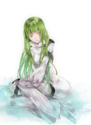 Rule 34 | 1girl, bad id, bad pixiv id, bodysuit, c.c., code geass, green hair, high heels, long hair, shoes, solo, water, witchonly, yellow eyes