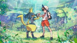 Rule 34 | 1boy, alternate color, area zero, backpack, bag, black bag, black footwear, brown hair, clenched hands, closed mouth, commentary request, creatures (company), day, fence, florian (pokemon), game freak, gen 4 pokemon, grass, hat, light rays, lucario, male focus, necktie, nintendo, official art, orange necktie, orange shorts, outdoors, pokemon, pokemon (creature), pokemon sv, rainbow, school uniform, shiny pokemon, shirt, shoes, short hair, short sleeves, shorts, smile, socks, standing, white headwear, white socks