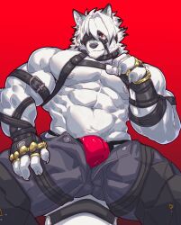 Rule 34 | 1boy, abs, absurdres, animal ears, bara, black collar, black gloves, black pants, bulge, claws, collar, commentary, english commentary, eyepatch, fingerless gloves, furry, furry male, gloves, harness, highres, istani, looking at viewer, male focus, male underwear, muscular, muscular male, muzzle, nipples, one eye covered, paid reward available, pants, pectorals, red background, red eyes, red male underwear, tail, topless male, underwear, von lycaon, wolf boy, wolf ears, wolf tail, zenless zone zero