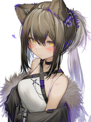 Rule 34 | 1girl, absurdres, animal ears, arknights, bare shoulders, black choker, black jacket, blush, breasts, brown hair, choker, commentary, freckles, fur trim, grey hair, hair between eyes, heart, highres, jacket, lipstick mark, looking at viewer, multicolored hair, off shoulder, official alternate costume, ponytail, purple hair, raccoon ears, robin (arknights), robin (gift of wild) (arknights), shirt, sidelocks, simple background, sleeveless, sleeveless shirt, small breasts, solo, streaked hair, tab head, white background, white shirt, yellow eyes