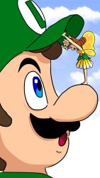 Rule 34 | 1boy, 1girl, blue eyes, blue sky, breasts, brown hair, face-to-face, facial hair, fairy, fairy wings, flower, flower hair ornament, grin, hat, highres, luigi, mario (series), mario kart, mustache, nintendo, nose, open mouth, princess daisy, size difference, skirt, sky, smile, super mario bros. 1, super mario land, tomboy, wings