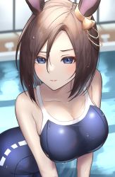 Rule 34 | 1girl, absurdres, air groove (umamusume), animal ears, blue eyes, breasts, brown hair, closed mouth, ear ornament, hair between eyes, highres, horse ears, horse girl, large breasts, looking at viewer, one-piece swimsuit, pool, short hair, solo, swimsuit, takmi, tracen swimsuit, umamusume