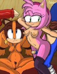 Rule 34 | 2boys, 2girls, amy rose, barefoot, blue eyes, blue fur, blue hair, blue skin, blush, breasts, brown fur, brown hair, brown scarf, cleft of venus, collar, colored skin, confused, dark skin, disembodied penis, erection, eulipotyphlan, excited, eyelashes, faceless, faceless character, faceless male, feet, feet out of frame, female pubic hair, frottage, frown, furry, green eyes, hair tie, hairband, hetero, highres, indoors, kinkybird, knuckles the echidna, lip biting, long eyelashes, looking back, looking up, medium breasts, multiple boys, multiple girls, mustelid, musteline, naughty face, nipples, nude, orange fur, orange hair, orange skin, penis, pink fur, pink hair, pink skin, pubic hair, pussy, red fur, red skin, scarf, sega, sex, sitting, sketch, small breasts, smile, socks, sonic (series), sonic boom (series), sonic the hedgehog, standing, sticks the badger, sumata, tail, thigh sex, thighhighs, uncensored