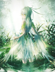 Rule 34 | 1girl, backlighting, bow, commentary, domik, dress, fantasy, feathers, from behind, grass, lens flare, light, light particles, long hair, looking at viewer, looking back, original, pale skin, plant, pond, skirt hold, solo, wading, white dress, white hair, wings, yellow eyes