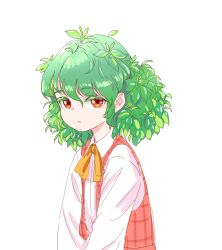 Rule 34 | 1girl, aged down, bow, collared shirt, colored eyelashes, commentary request, green hair, kazami yuuka, leaf, plaid, plaid vest, plant hair, red eyes, red vest, s-a-murai, shirt, short hair, solo, touhou, vest, white background, white shirt, yellow bow