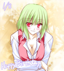 Rule 34 | 1girl, bad id, bad pixiv id, blush, breasts, cleavage, crossed arms, female focus, green hair, happy birthday, kazami yuuka, large breasts, leaning forward, red eyes, shiren, shiren (monochrome structure), smile, solo, touhou, upper body, vest