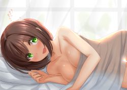 Rule 34 | 1girl, blush, breasts, brown hair, collarbone, covering privates, curtains, eyes visible through hair, fang, idolmaster, idolmaster cinderella girls, indoors, kibihimi, large breasts, looking at viewer, lying, maekawa miku, nude, nude cover, on bed, on side, open mouth, pov across bed, short hair, smile, solo, translation request, under covers, window