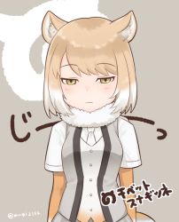 Rule 34 | 10s, 1girl, :|, animal ears, arms at sides, blush, buttons, character name, closed mouth, collar, expressionless, fox ears, fox tail, fur collar, gradient clothes, gradient hair, grey background, grey vest, japari symbol, jitome, kemono friends, light brown hair, looking at viewer, mugi (iccomae), multicolored hair, necktie, open clothes, open vest, shirt, short hair, short sleeves, simple background, solo, sound effects, tail, tibetan fox (kemono friends), twitter username, two-tone hair, upper body, vest, white hair, white necktie, white shirt, yellow eyes