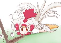 Rule 34 | 1girl, 370ml, @ @, bird girl, bird tail, bird wings, boots, chicken (kemono friends), commentary request, head wings, kemono friends, long hair, lying, multicolored hair, on stomach, orange eyes, pleated skirt, red hair, shirt, short sleeves, skirt, solo, stick, t-shirt, tail, thigh boots, thighhighs, two-tone hair, white hair, white shirt, white skirt, wings, yellow footwear