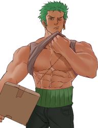 Rule 34 | absurdres, bara, clothes lift, highres, large pectorals, male focus, muscular, muscular male, nipples, one piece, pectoral focus, pectorals, puffy chest, roronoa zoro, self-upload, solo