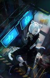 Rule 34 | 1girl, animal ears, arknights, black footwear, black gloves, black shirt, black socks, blouse, blue eyes, can, commentary, ermine, ferret, ferret ears, ferret tail, fingerless gloves, food, from above, gloves, hair over one eye, highres, holding, holding food, looking at viewer, sakusyo, shirayuki (arknights), shirt, shoes, short hair, signature, silver hair, sitting, socks, solo, tail, weasel, weasel ears, weasel tail