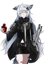 Rule 34 | 1girl, absurdres, animal ears, arknights, black coat, black shorts, blood, blood on face, closed mouth, coat, cowboy shot, crazy eyes, heart (organ), high collar, highres, holding organ, lappland (arknights), long hair, long sleeves, looking at viewer, midriff peek, scar, scar across eye, shorts, simple background, smile, solo, sword, weapon, white background, white eyes, white hair, yanggaengwang