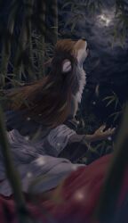 Rule 34 | 1girl, animal ears, bamboo, bamboo forest, brown hair, claws, closed eyes, cloud, cloudy sky, commentary request, cowboy shot, dress, forest, furry, furry female, highres, howling, imaizumi kagerou, long hair, nature, night, open mouth, red skirt, satellitedragon, skirt, sky, solo, touhou, werewolf, white dress, wolf ears, wolf girl
