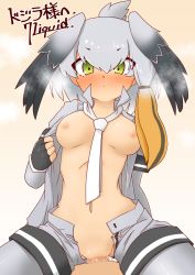 Rule 34 | 1girl, 370ml, arm behind back, artist name, bird wings, black gloves, black hair, blush, breasts, closed mouth, collared shirt, expressionless, eyes visible through hair, fingerless gloves, girl on top, gloves, green eyes, grey hair, grey shirt, grey shorts, groin, hair between eyes, hand up, head wings, kemono friends, layered sleeves, pantyhose under shorts, long hair, long sleeves, looking at viewer, medium breasts, multicolored hair, navel, necktie, nipples, no bra, no panties, nose blush, open clothes, open fly, open shirt, open shorts, orange hair, pantyhose, penis, pussy juice, sex, shirt, shoebill (kemono friends), short over long sleeves, short sleeves, shorts, sidelocks, solo focus, stomach, vaginal, white neckwear, wings