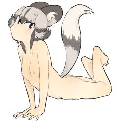 Rule 34 | 1girl, african wild dog (kemono friends), animal ear fluff, animal ears, arm support, ass, barefoot, black eyes, black hair, breasts, closed mouth, completely nude, dog ears, dog girl, dog tail, extra ears, feet up, full body, grey hair, hair between eyes, highres, igarashi (nogiheta), kemono friends, looking at viewer, medium hair, multicolored hair, nipples, nude, outstretched arms, petite, simple background, small breasts, solo, stomach, tail, toes, tsurime, two-tone hair, white background