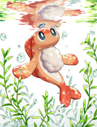 Rule 34 | air bubble, blue eyes, bright pupils, bubble, caustics, commentary request, creatures (company), full body, game freak, highres, kaminokefusa, nintendo, no humans, plant, pokemon, pokemon (creature), reflection, seaweed, simple background, solo, sparkle, tatsugiri, tatsugiri (curly), underwater, water, white background, white pupils