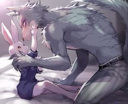 Rule 34 | 1boy, 1girl, animal ears, barefoot, beastars, bed sheet, belt, black belt, blue shirt, blush, brown eyes, commentary request, eye contact, furry, furry female, furry male, furry with furry, haru (beastars), highres, legoshi, looking at another, pants, rabbit ears, rabbit girl, scar, scar on back, shirt, sitting, size difference, smile, striped clothes, striped pants, suurin (ksyaro), sweat, tail, topless male, translation request, wolf boy, wolf ears, wolf tail