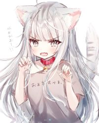 Rule 34 | 1girl, animal ear fluff, animal ears, bad id, bad pixiv id, bell, blush, cat ears, cat girl, cat tail, claw pose, clothes writing, collar, commentary request, fang, grey eyes, grey shirt, hands up, highres, jingle bell, long hair, looking at viewer, neck bell, off shoulder, open mouth, original, red collar, rucaco, shirt, short sleeves, silver hair, simple background, slit pupils, solo, striped tail, tail, tail raised, translation request, upper body, v-shaped eyebrows, very long hair, white background