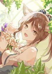 Rule 34 | 1girl, animal ears, arknights, bare shoulders, bow, breasts, brown eyes, brown hair, dress, flower, fox ears, fox girl, fox tail, fur-trimmed jacket, fur trim, hair bow, highres, holding, holding flower, jacket, long hair, off shoulder, open mouth, perfumer (arknights), ponytail, saiko (saisaka), smile, solo, tail