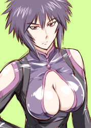 Rule 34 | 10s, 1girl, bare shoulders, bodysuit, breasts, cleavage, cleavage cutout, clothing cutout, green background, hand on own hip, large breasts, liebert, looking at viewer, majin bone, purple hair, red eyes, serious, short hair, simple background, solo, spiked hair, ueyama michirou
