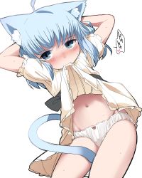 Rule 34 | 1girl, ahoge, animal ear fluff, animal ears, arms up, blue eyes, blue hair, blush, cat ears, cat tail, clothes lift, dress, dress lift, female focus, frills, groin, heart, highres, koharuko (khrkhrk), loose panties, mouth hold, navel, original, panties, puffy short sleeves, puffy sleeves, short sleeves, simple background, solo, sweat, tail, underwear, white background, white panties
