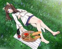 Rule 34 | 10s, 1girl, alcohol, animal ears, apple, barefoot, blue eyes, blush, bottle, brave witches, bread, brown hair, celery, cheese, cup, drinking glass, dutch angle, feet, flower, food, from above, fruit, full body, georgette lemare, grass, hair ribbon, kaneko (novram58), long hair, looking at viewer, lying, military, military uniform, no pants, on back, open mouth, picnic, picnic basket, ribbon, smile, solo, strike witches, tail, twintails, uniform, wine, wine bottle, wine glass, world witches series