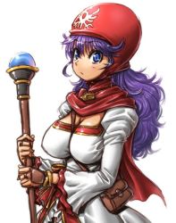 Rule 34 | 1girl, amania orz, bag, blue eyes, breasts, closed mouth, curly hair, dragon quest, dragon quest ii, dress, hood, long hair, looking at viewer, princess of moonbrook, purple hair, simple background, solo, square enix, staff, white background
