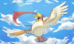Rule 34 | bird, blue sky, brown eyes, claws, cloud, cloudy sky, commentary, creature, creatures (company), day, english commentary, flying, full body, game freak, gen 1 pokemon, looking at viewer, mega pidgeot, mega pokemon, nintendo, no humans, pidgeot, pinkgermy, pokemon, pokemon (creature), sky, solo