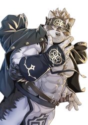 Rule 34 | 1boy, abs, animal ears, backlighting, bara, bare pectorals, body hair, chest hair, furry, furry male, grey fur, grey hair, headband, highres, horkeu kamui, jacket, jacket on shoulders, large pectorals, leather, looking at viewer, male focus, muscular, navel, okusu (oaks16), pectorals, pelvic curtain, revealing clothes, short hair, solo, sword, thick thighs, thighs, tokyo houkago summoners, two-tone fur, vambraces, weapon, white background, white fur, wolf boy, wolf ears, yellow eyes