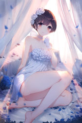 Rule 34 | 1girl, bare legs, bare shoulders, barefoot, bed sheet, blue flower, blue rose, bow, bow earrings, breasts, brown eyes, brown hair, choker, closed mouth, collarbone, commentary request, curtains, dress, earrings, flower, girl cafe gun, gloves, hair flower, hair ornament, hand up, highres, jewelry, legs, looking at viewer, petals, rose, shi wuyou, short hair, small breasts, solo, strapless, strapless dress, thighs, transparent, wedding dress, white bow, white choker, white dress, white flower, white gloves, white rose, xing