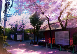 Rule 34 | architecture, bad id, bad pixiv id, building, cherry blossoms, dappled sunlight, day, east asian architecture, mogumo, no humans, original, outdoors, petals, real world location, scenery, stairs, sunlight, traffic cone, tree, utility pole