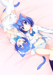 Rule 34 | 2girls, :3, animal ears, apron, blue eyes, blue hair, bow, bowtie, cat ears, cat tail, collaboration, covering breasts, covering privates, fang, flat chest, gloves, highres, lying, multiple girls, navel, onka, open clothes, open shirt, original, panties, piyodera mucha, shirt, short hair, striped clothes, striped panties, tail, thighhighs, topless, underwear, usashiro mani