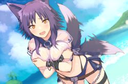 Rule 34 | 1girl, animal ear fluff, animal ears, beach, bikini, blush, breast hold, breasts, commentary, commentary request, covering breasts, covering privates, criss-cross halter, cygames, halterneck, highres, houmatu awa, large breasts, layered bikini, looking at viewer, makoto (princess connect!), makoto (summer) (princess connect!), nature, ocean, open mouth, outdoors, princess connect!, purple bikini, purple hair, solo, sweat, swimsuit, tail, tail wagging, wolf ears, wolf girl, wolf tail, yellow eyes