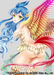 Rule 34 | 1girl, ass, back, bad id, bad pixiv id, bird legs, bird wings, breasts, butt crack, copyright name, fantasy, feather hair, feathered wings, feathers, grey background, hair between eyes, hakuda tofu, harpy, head wings, highres, long hair, looking back, monster girl, no panties, official art, shinkai no valkyrie, simple background, solo, very long hair, winged arms, wings