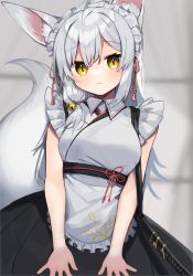 Rule 34 | 1girl, animal ears, commentary request, highres, katana, looking at viewer, maid, maid headdress, moti yousei, original, sleeveless, solo, sword, tail, weapon, white hair, yellow eyes