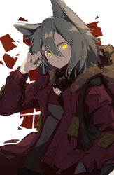 Rule 34 | 1girl, absurdres, animal ears, arknights, black nails, fur-trimmed hood, fur trim, grey hair, grey shirt, hair between eyes, hand in own hair, hand in pocket, hand up, highres, hood, hooded jacket, jacket, long sleeves, looking at viewer, mask, mask around neck, open clothes, open jacket, projekt red (arknights), r94 (aikwryosuke), red jacket, shirt, simple background, solo, upper body, white background, wolf ears, wolf girl, yellow eyes