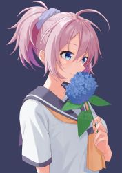 Rule 34 | 1girl, aoba (kancolle), blue background, blue eyes, commentary request, flower, grey sailor collar, highres, hydromoon, kantai collection, neckerchief, pink hair, ponytail, sailor collar, school uniform, scrunchie, serafuku, short hair, simple background, smelling, solo, upper body, yellow neckerchief