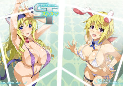 Rule 34 | 10s, 2girls, against glass, animal ears, areola slip, ass, bell, bikini, blonde hair, blue eyes, blush, breasts, butt crack, cat ears, cat tail, cecilia alcott, charlotte dunois, cleavage, collar, cover, covered erect nipples, cuffs, detached collar, drill hair, fake animal ears, fake tail, fishnet legwear, fishnets, hair ribbon, hairband, infinite stratos, large breasts, long hair, multiple girls, neck bell, open mouth, ponytail, purple bikini, purple eyes, rabbit ears, ribbon, side-tie bikini bottom, slingshot swimsuit, smile, swimsuit, tail, takeda hiromitsu, thighhighs, white bikini, wrist cuffs