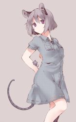 Rule 34 | 1girl, akagashi hagane, alternate costume, alternate eye color, animal, animal ears, dress, grey dress, grey hair, jewelry, looking at viewer, mouse (animal), mouse ears, mouse tail, nazrin, necklace, pink eyes, pocket, short hair, short sleeves, simple background, solo, tail, touhou